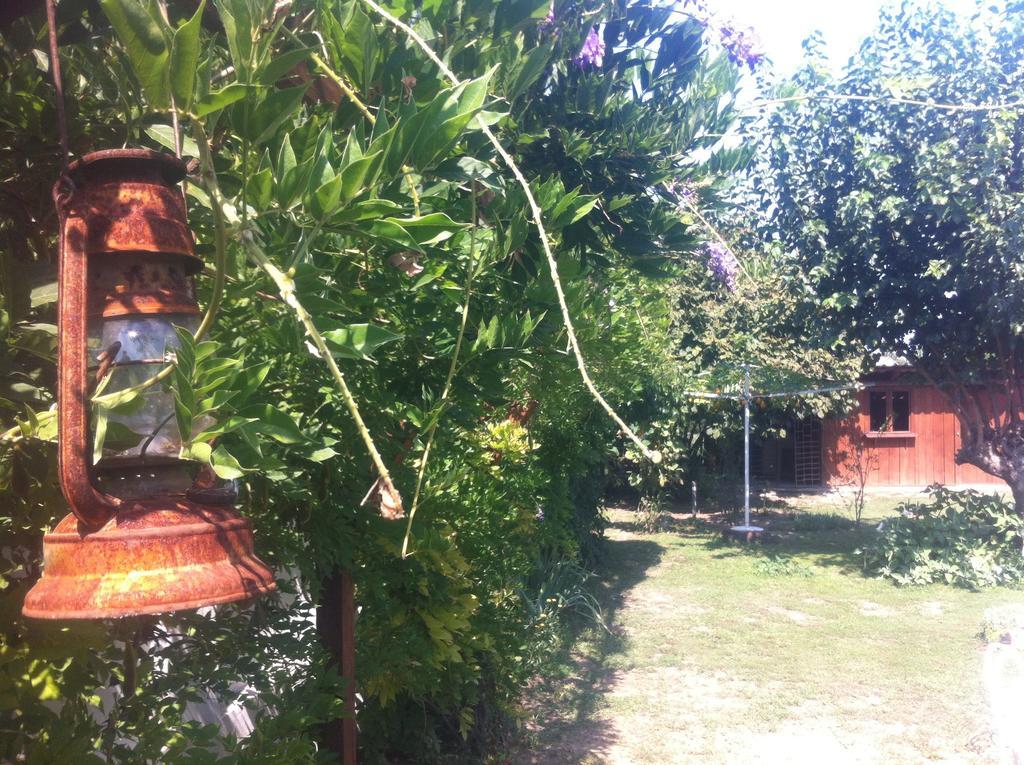 Santa Maria Apartment Donji Kovilj Екстер'єр фото