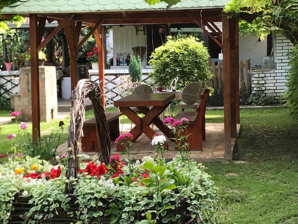 Santa Maria Apartment Donji Kovilj Екстер'єр фото